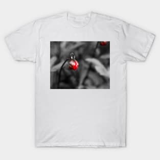 Bud T-Shirt